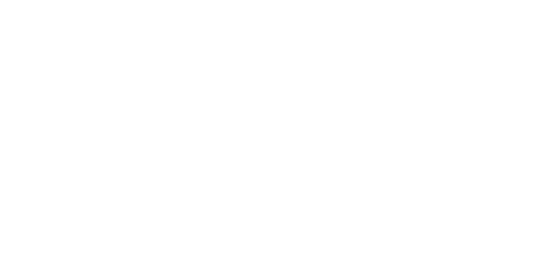 ProtoFlow supplement